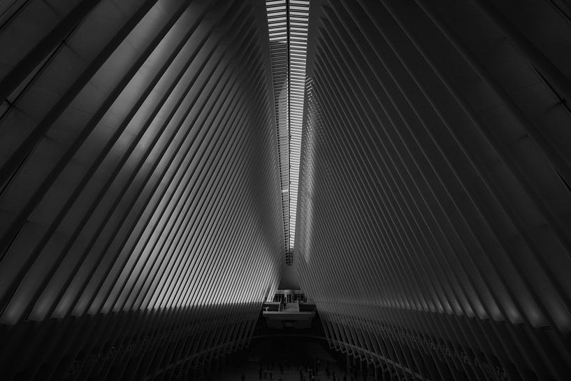 Oculus - Schwarz und Weiß von Jan-Hessel Boermans