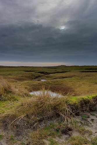 De kwelder van Terschelling