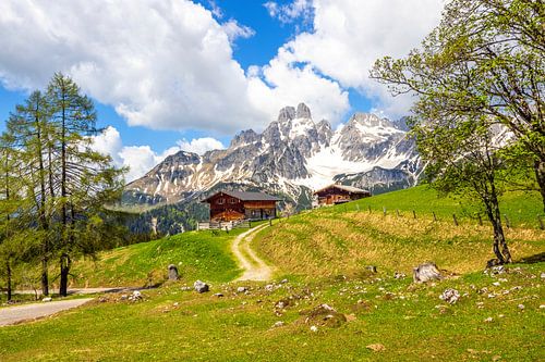 L'alpage de Sulzenalm avec le Mütze en toile de fond