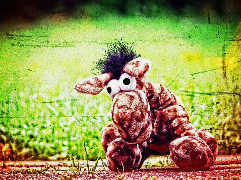 Esel by Gabi Siebenhühner