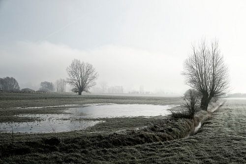 Landschap IJssel