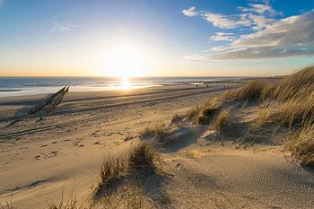 Un rêve de printemps