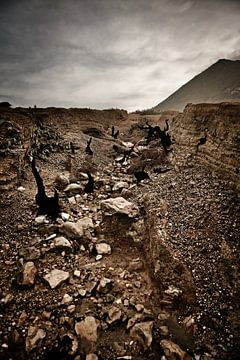 Jagged volcanic soil and charred remains by Frank Photos