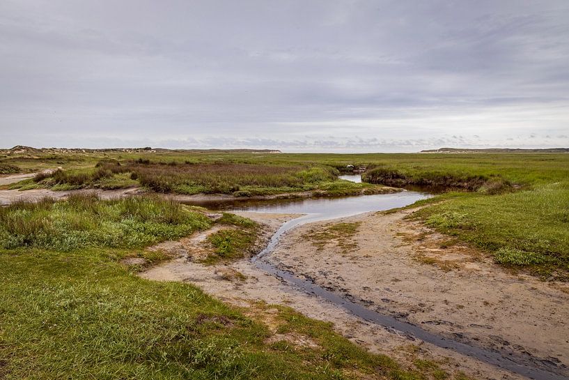 Naturschutzgebiet De Slufter auf Texel von Rob Boon