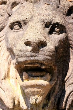 Sculpture d'art d'une tête de lion sur Bobsphotography