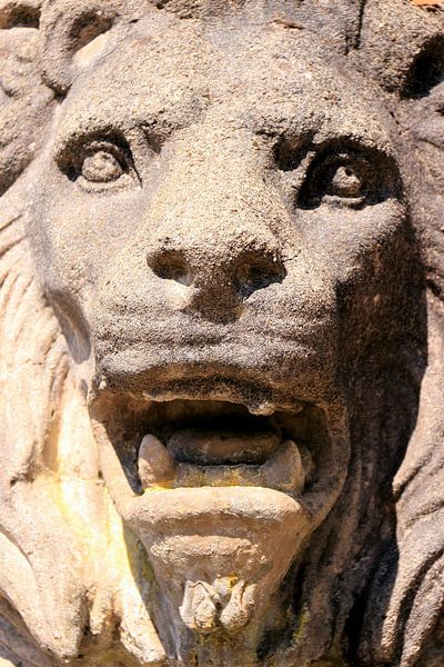 Sculpture d'art d'une tête de lion par Bobsphotography