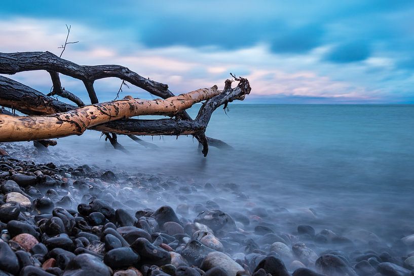 Ostseeküste auf der Insel Moen in Dänemark par Rico Ködder