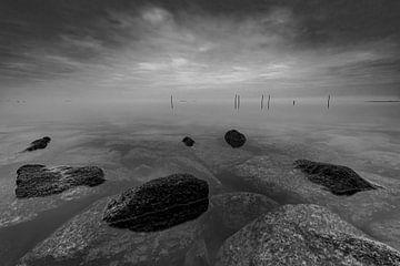 Palen met visnetten in het IJsselmeer van Bram Lubbers