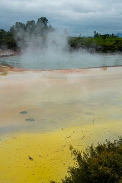 Geel en oranje in het geothermische meer bij Waiotapu van Niek
