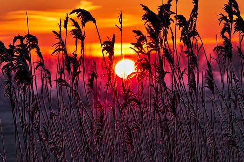 Sunrise on a wintry day