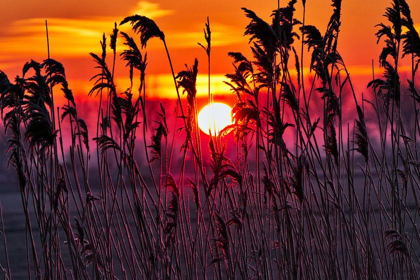 Sunrise on a wintry day by Ton Wever