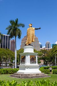 Koning Kamehameha standbeeld - Honolulu (Oahu) van t.ART