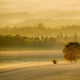 Mystische Landschaft im Nebel / mystiek landschap in de mist van FellundFarbe