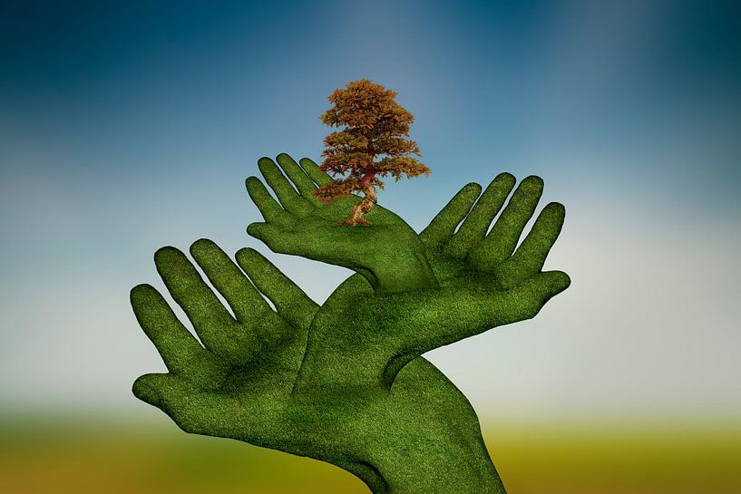 Schützende Hände (2) par Puravida - Photographie et art photographique