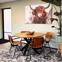 Klantfoto: Schotse Hooglander van Liliane Jaspers, als ArtFrame