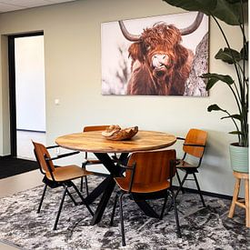 Customer photo: Scottish Highlander by Liliane Jaspers, on ArtFrame