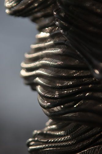 S'émerveiller de la lumière