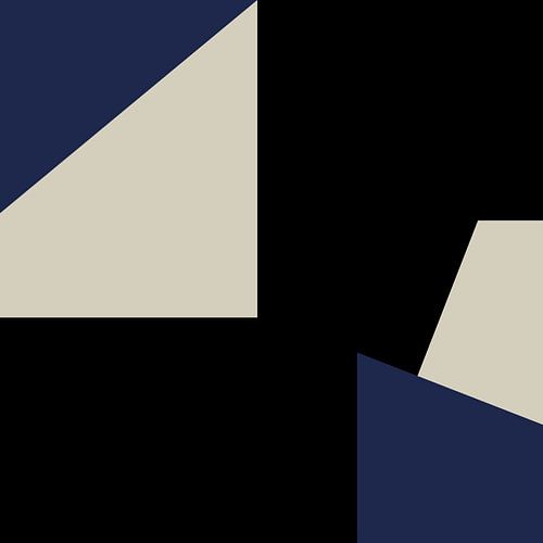 Blauw Zwart Wit Abstracte Vormen nr. 5