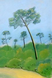 Summer Breeze – Pieterpad by Wietske Westra