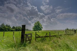 Schalkwijk - Landschaftsbild