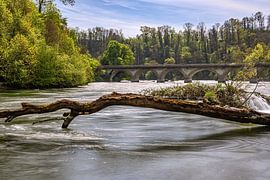 SCHWEIZ : RHEINFALL SCHAFFHAUSEN von Photoart-Naegele