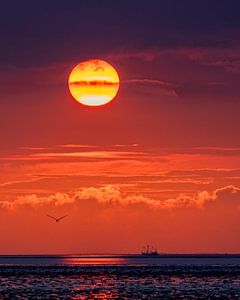 Coucher de soleil sur la mer des Wadden