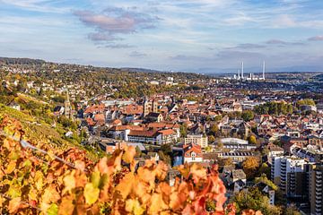 Zicht op Esslingen am Neckar vanaf de Neckarhaldenweg van Werner Dieterich