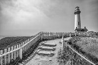 The lighthouse of Pigeon Point (Pacific Ocean)