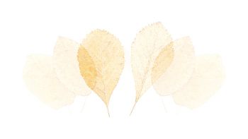 Bladeren 8
