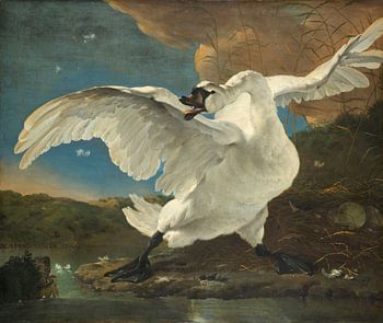 The endangered swan, Jan Asselijn