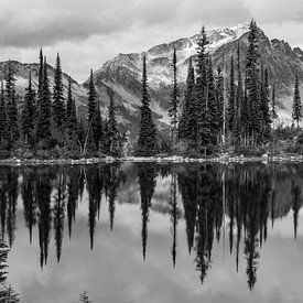 Black/white reflection of mountain and trees in Canadian lake by Milou Mouchart