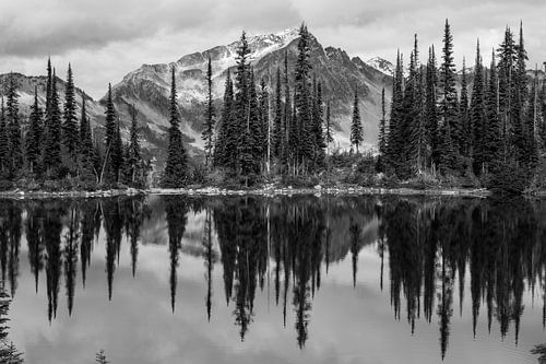 Reflet en noir et blanc de montagnes et d'une forêt dans un lac canadien