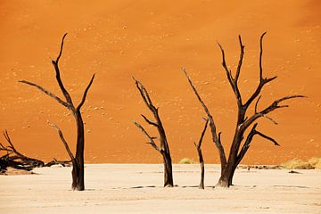 Deadvlei met dode bomen, Namib woestijnlandschap van Jürgen Ritterbach