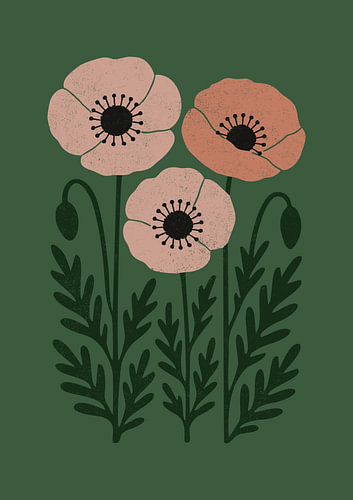 Fijne papaverbloesems