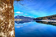 Alpenglück am Walchensee von Roith Fotografie Miniaturansicht