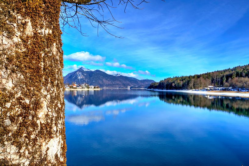 Alpenglück am Walchensee von Roith Fotografie