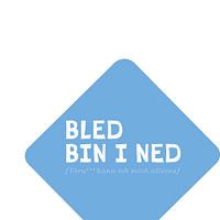 Beierse verklaring Formaat 3