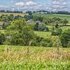 Panorama du sud du Limbourg près d'Epen sur John Kreukniet