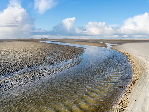 Slenk door de drooggevallen Waddenzee bij Terschelling