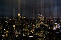 New York City am Abend, Skyline von Nynke Altenburg Miniaturansicht