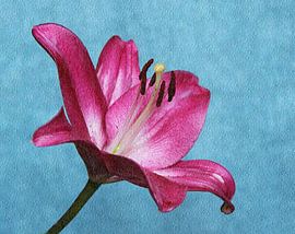 Lilie mit Blumen Relief von Jose Lok