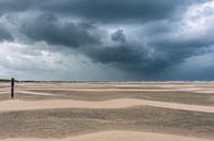 Starker Regen am Strand des Leuchtturms von Texel von Bep van Pelt- Verkuil Miniaturansicht