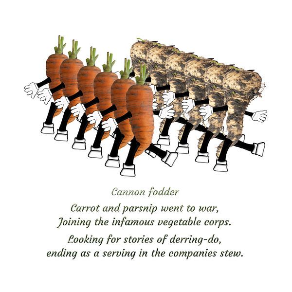 Cannon fodder gedicht. van Grüntyers .