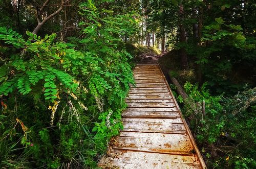 Green Path II