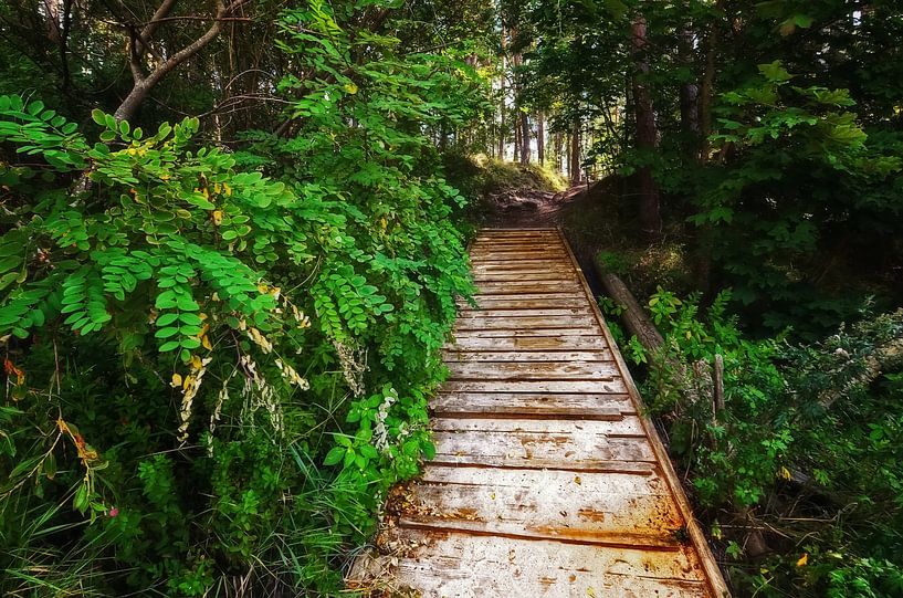 Green Path II von Marlika Art