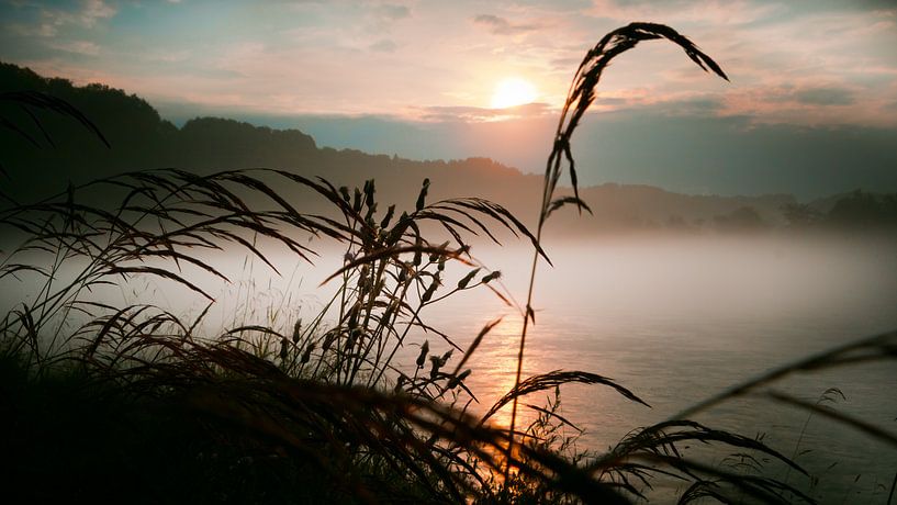 Fog on the river by Holger Debek