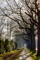 Two people walking in the winter sun on a bicycle path in Eindhoven, The Netherlands