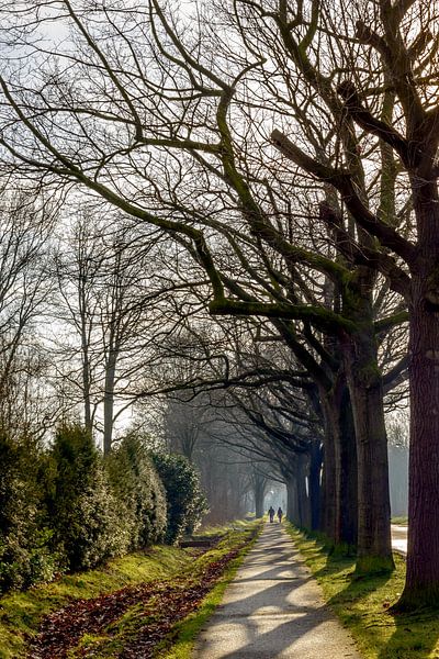 Wandelen in de winterzon op een fietspad bij Eindhoven par Hein Fleuren