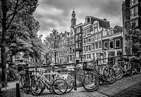 AMSTERDAM Bloemgracht zwart en wit