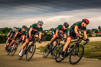 Das Wolfsrudel der Schwalben